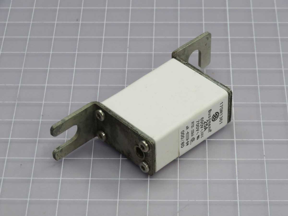 LOT OF 10 BUSSMANN 170M1361 FUSE T261233 - FUSES