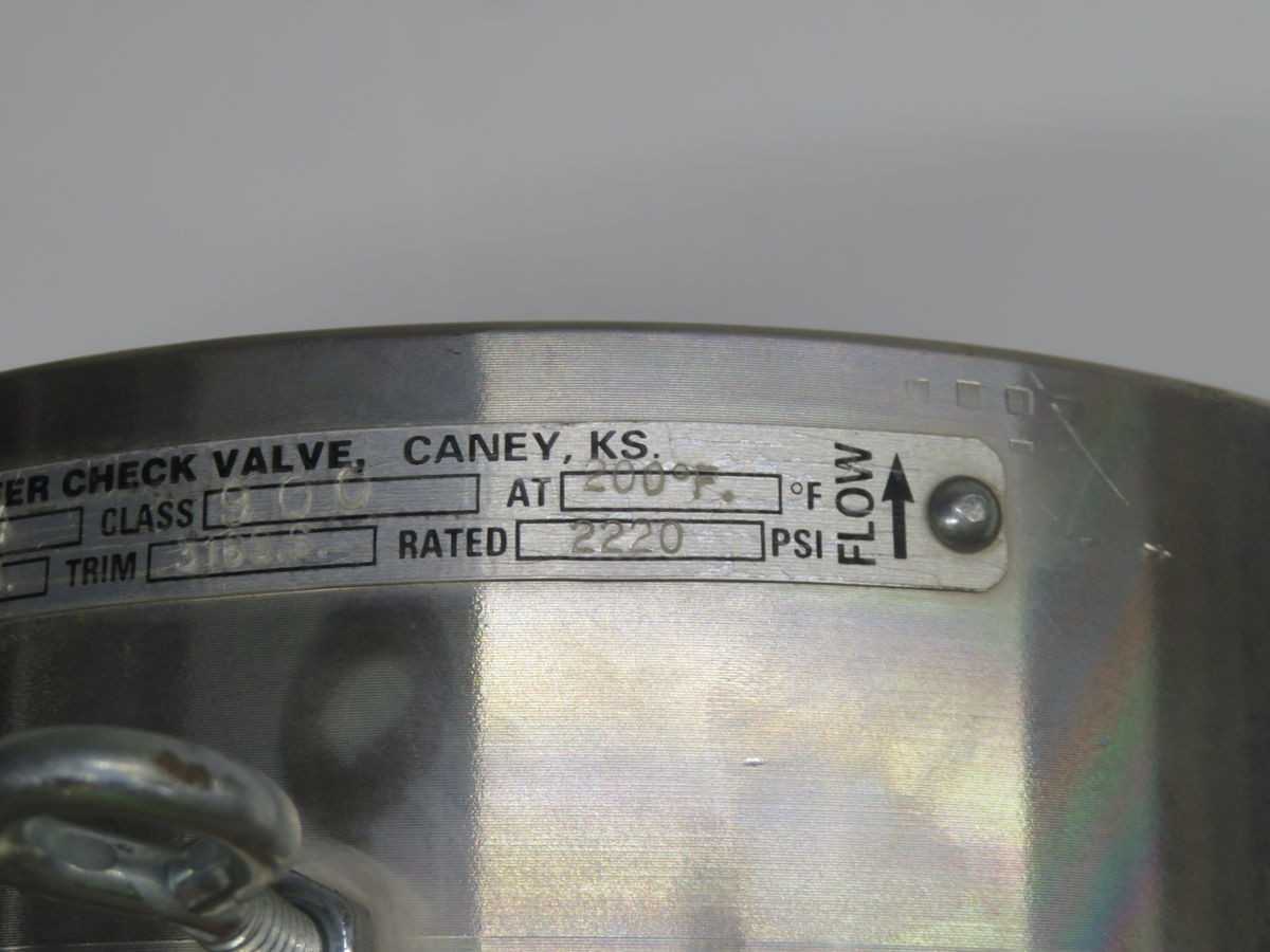 ARROW CLASS 900 CHECK VALVE T263806 - CHECK VALVE