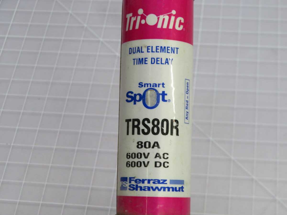 LOT OF 10 FERRAZ SHAWMUT TRS80R FUSE T262264 - FUSES