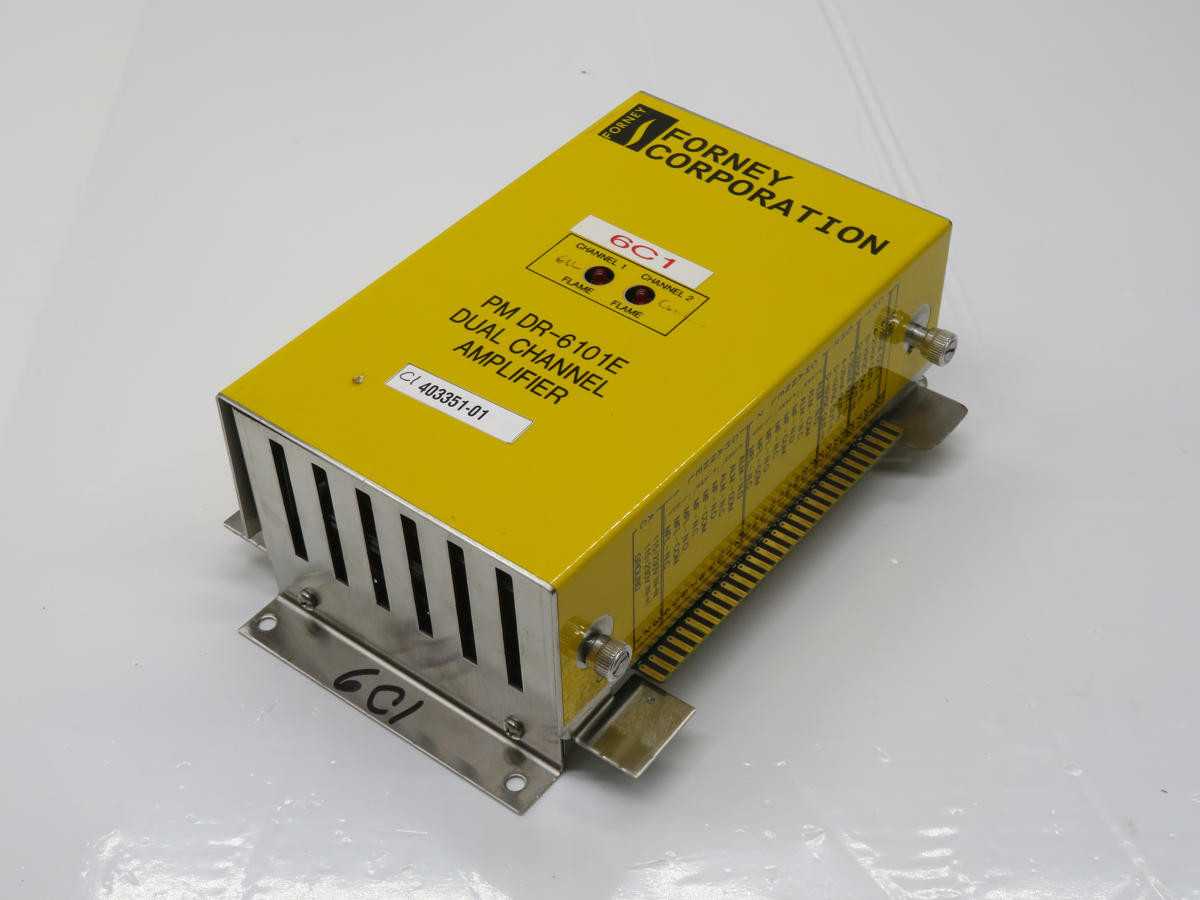 FORNEY 9000 40810000 AMP, DUAL CH, PANEL MT, UV/IR, 5A/2.5A OUT, 120/240V PWR, -20/+70C TEMP - AUTOMATION & CONTROLS